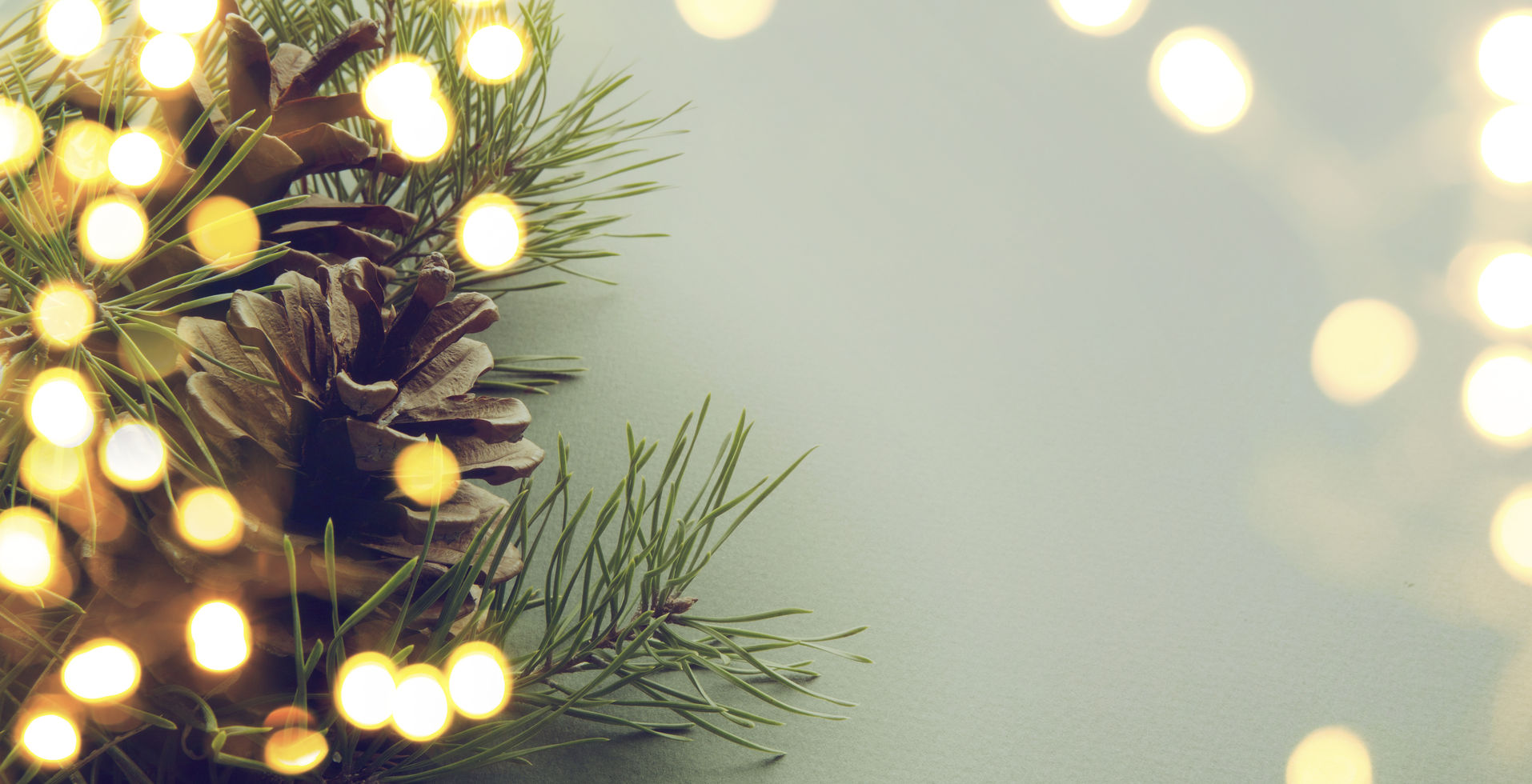 34001911 - christmas tree light